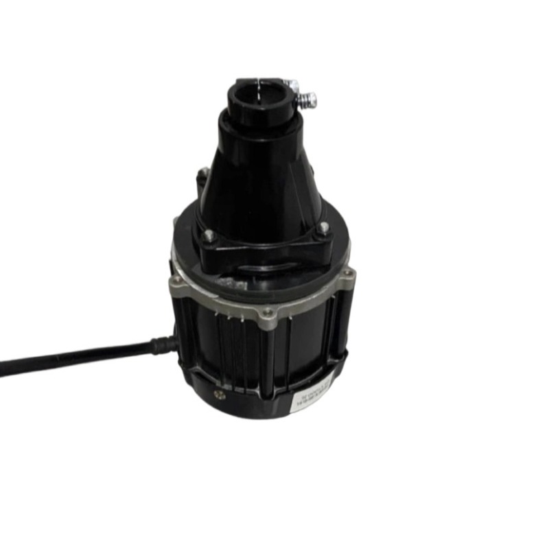 12V-60V 500W-1500W Bürstenlose – Fishing Boat Outboard Motor Bewertung und Preis
