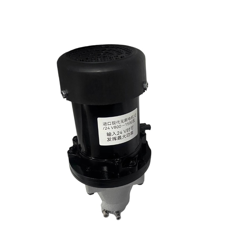 12V-60V 500W-1500W Bürstenlose – Fishing Boat Outboard Motor Bewertung und Preis